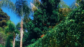 Η Paris Hilton ψηφίζει Ελλάδα