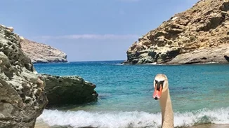 Ελένη Μενεγάκη: Ποζάρει με μαγιό και αποκαλύπτει με ποιους περνάει τις καλοκαιρινές διακοπές της