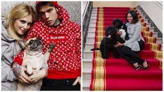 Παγκόσμια Ημέρα Ζώων | Οι διάσημοι και τα αγαπημένα τους κατοικίδια