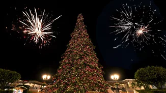 Ήρθαν τα Χριστούγεννα! Δες την εντυπωσιακή φωταγώγηση του Χριστουγεννιάτικου δέντρου του McArthurGlen