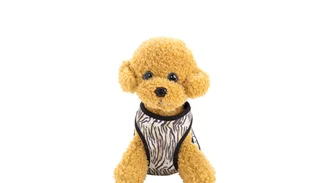 Έχεις σκύλο; Δες αυτή τη φανταστική συλλογή