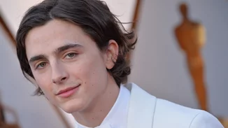 Ο Timothée Chalamet θα πρωταγωνιστήσει στην νέα ταινία του Wes Anderson