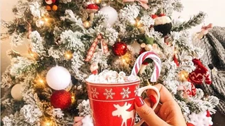 9 παραδοσιακά Χριστουγεννιάτικα ροφήματα από όλο τον κόσμο!