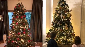 Τα εντυπωσιακά χριστουγεννιάτικα δέντρα των Ελλήνων celebrities!