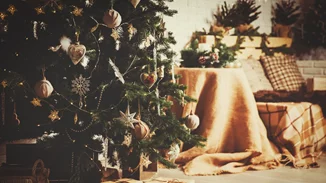 Χιλιάδες σχόλια στο διαδίκτυο για το πανύψηλο Χριστουγεννιάτικο Δέντρο των Tim McGraw και Faith Hill