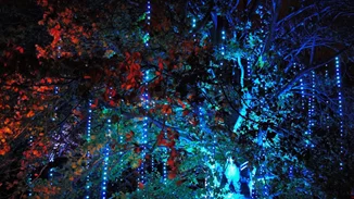 Εσύ πιστεύεις στα ξωτικά; | Ποια χώρα υποστηρίζει την ύπαρξή τους;