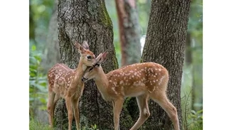 10 ιδέες για να περάσεις καλά τον Ιανουάριο