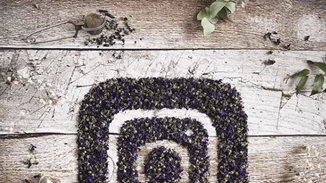 Ποια πασίγνωστη ηθοποιό καλωσόρισε ο κόσμος του Instagram;