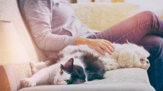 Ολική Σεληνιακή Έκλειψη/Πανσέληνος στον Λέοντα | Πώς θα σε επηρεάσει;