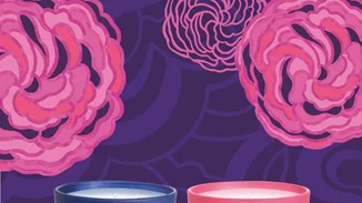 Λατρεύεις την μυρωδιά του τριαντάφυλλου; Δύο νέα κεριά είναι αποκλειστικά φτιαγμένα για εσένα!