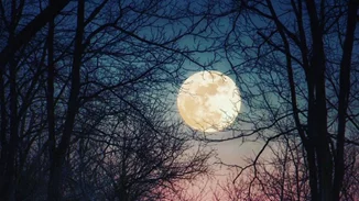 Υπερπανσέληνος | Οι πιο εντυπωσιακές φωτογραφίες από το χθεσινό βράδυ