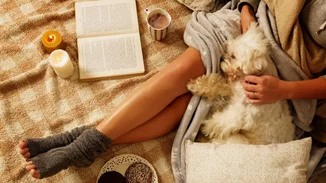 Ζώδια Φεβρουαρίου 2019 | Οι μηνιαίες προβλέψεις για κάθε ζώδιο