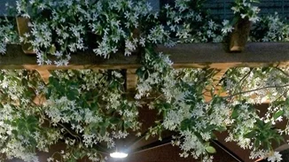 Το Menoo στην Κηφισιά είναι το μέρος που πρέπει να περάσεις την Καθαρά Δευτέρα