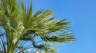 Δυναμική και με αυτοπεποίθηση σε κάθε φάση της ζωής σου