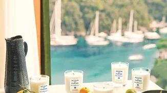 Επιτέλους! Όλο το σπίτι θα μυρίζει πλέον όπως το αγαπημένο Acqua di Parma άρωμά σου