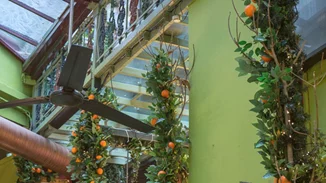 Noel Orangerie by Grand Marnier: Υποδεχτήκαμε τη νέα #LiveGrand τάση της πόλης