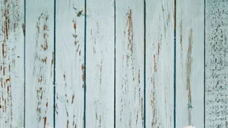 Η Αλίκη στη Χώρα των Θαυμάτων έρχεται στο River West