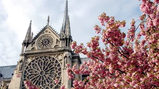 7 πράγματα που πρέπει να γνωρίζεις για την Παναγία των Παρισίων