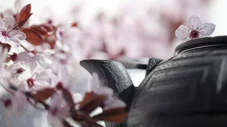 5 αγιουρβεδικές συνήθειες για να υιοθετήσεις αυτό το καλοκαίρι