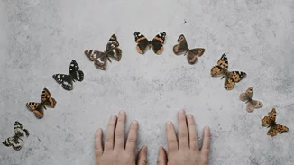 Haim Ginott: Τα παιδιά είναι σαν το υγρό τσιμέντο. Οτιδήποτε πέφτει πάνω τους, αφήνει αποτύπωμα