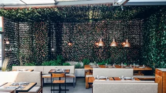 Νέο Frankie στην Ερυθραία: Μια ενδιαφέρουσα άφιξη για την καινούργια σεζόν