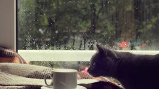 10+3 πράγματα που μπορείς να κάνεις στο σπίτι μια βροχερή μέρα