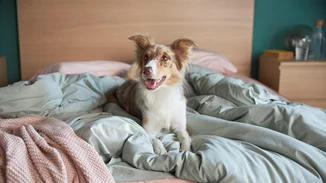 Σ’ ένα σπίτι ΙΚΕΑ ζεις πιο πολλά απ’ όσα φαντάζεσαι