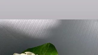 Η Κατερίνα Καινούργιου σε βάφτιση | Δες το look της! (pics)