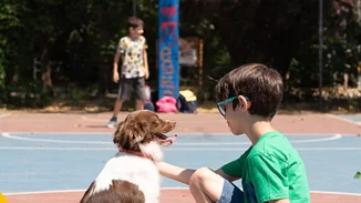 Πώς μπορεί ένας σκύλος να αλλάξει μια ζωή;