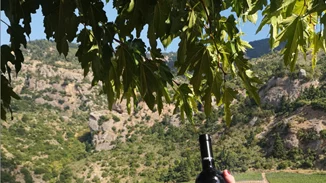 Πήγαμε για wine tasting στα Καλάβρυτα με την Lidl Ελλάς