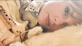 Η Taylor Swift έχει τις πιο διάσημες γάτες του Instagram