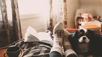 Αφροδίτη στον Αιγόκερω από 26 Νοεμβρίου έως 19 Δεκεμβρίου | Πώς επηρεάζονται όλα τα ζώδια