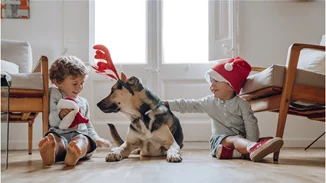 Χριστούγεννα με τα παιδιά στην Αθήνα | Οι καλύτερες ιδέες για θέατρο και βόλτες