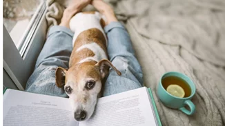 4 συγγραφείς best sellers επιστρέφουν με νέες περιπέτειες