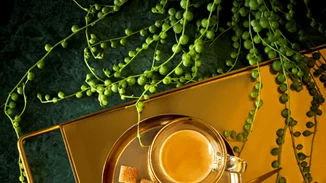 Απογείωσε τις αισθήσεις σου σε ένα σαγηνευτικό ταξίδι με τη νέα σειρά L’OR Origins