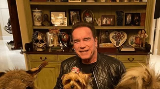 Viral | Ο Arnold Schwarzenegger πήγε στο γραφείο με τα κατοικίδιά του