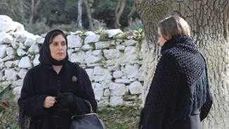 Τέλος από τις «Άγριες Μέλισσες» | Αυτός ο πρωταγωνιστής δεν θα είναι του χρόνου