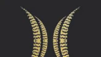 Ο Όμιλος Ξενοδοχείων Διβάνη προσφέρει 100.000 ευρώ στον αγώνα κατά του COVID-19