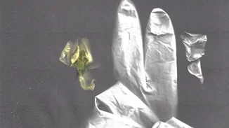 Η αναπάντεχη καμπάνια του oίκου Gucci | Γάντια μιας χρήσης και λουλούδια τα σύμβολα της ζωής