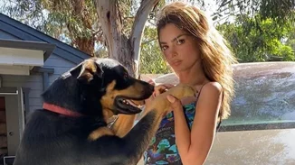 Tα κορίτσια της μόδας λατρεύουν αυτό το στιλ φορέματος και επενδύουν σε ένα συγκεκριμένο brand