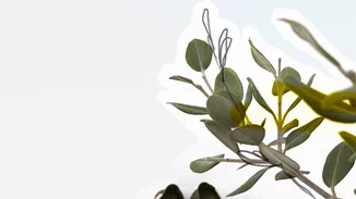 Eσπαντρίγιες | Η πιο φρέσκια προσθήκη στη βαλίτσα των διακοπών