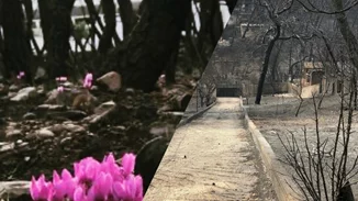 2 χρόνια από τη φονική φωτιά στο Μάτι | Τι δημοσίευσαν οι Έλληνες celebrities;