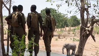 Ο James Cameron γύρισε ένα ντοκιμαντέρ για την λαθροθηρία ελεφάντων