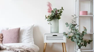 Κάνεις δύσκολο ύπνο; Αυτά τα τέσσερα φυτά θα βελτιώσουν την ποιότητα του ύπνου σου