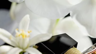 Αναζητούμε τα πιο τέλεια φθινοπωρινά αρώματα: Ο οίκος YSL Beauty λανσάρει το Libre Eau de Parfum Intense