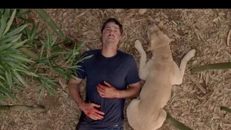 5 από τα πιο αμφιλεγόμενα τηλεοπτικά φινάλε