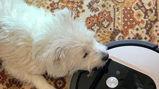 Η ζωή μου με την iRobot