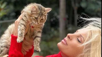 Ελένη Μενεγάκη | Οι νέες φωτογραφίες με τη γάτα της που ενθουσίασαν το Instagram