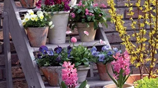 5 ιδέες για καλοκαιρινούς κήπους με βότανα στο σπίτι σου