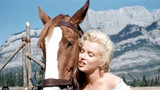 Η προφητική λατινική επιγραφή στο πλακόστρωτο του τελευταίου σπιτιού της Marylin Monroe